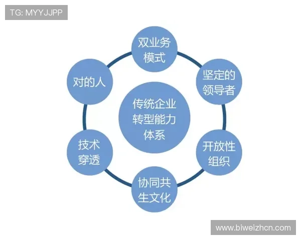 体育担保网在推动体育产业数字化转型中的关键作用与未来展望